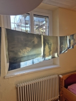 IMAGE 2024-11-24 18_41_55.jpg